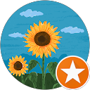 Sofka Trajcevska profielfoto